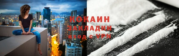 дживик Верхний Тагил