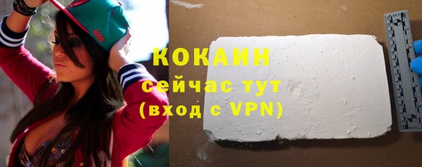 тгк Бронницы