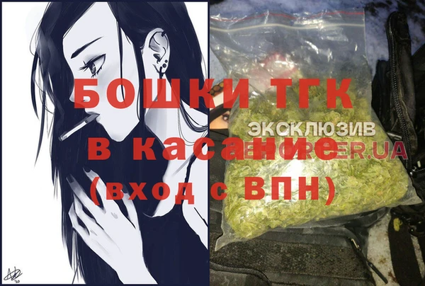дживик Верхний Тагил