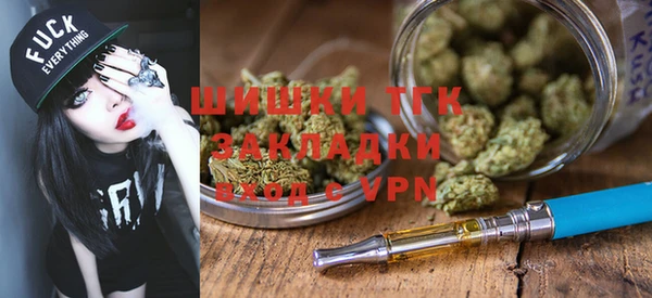тгк Бронницы