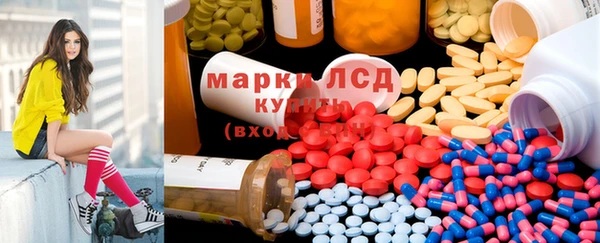 гидропоника Бородино