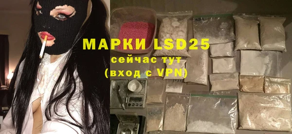 дживик Верхний Тагил