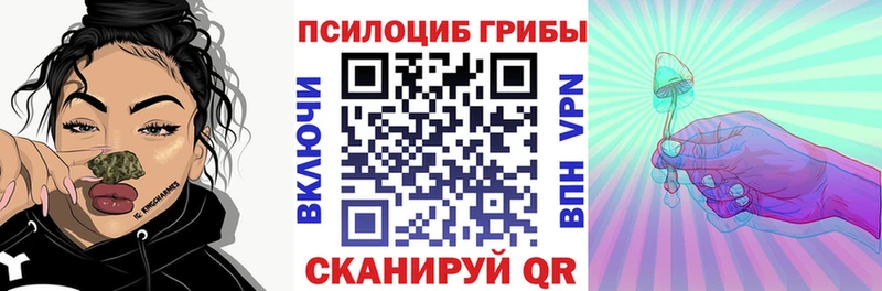 Галлюциногенные грибы прущие грибы  купить наркотики сайты  Заречный 